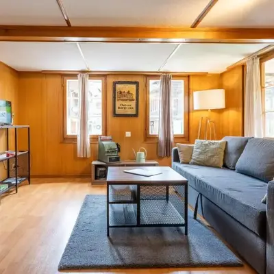 Lovely & great equipped wooden Alp Chalet flat