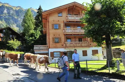 Tiere im Bed & Breakfast oder in der Nähe