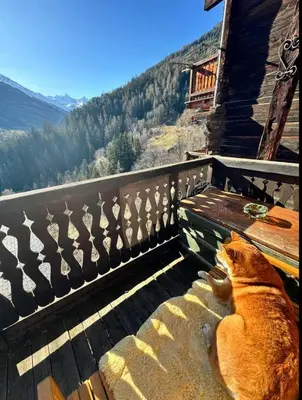 Grundriss der Unterkunft Un nid au paradis - Chalet traditionnel avec beaucoup de cachet