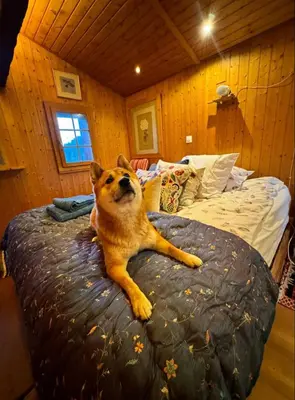 Grundriss der Unterkunft Un nid au paradis - Chalet traditionnel avec beaucoup de cachet