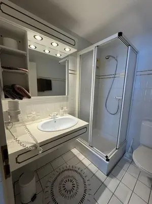 Ein Badezimmer in der Unterkunft Studio Blitzingen, Castle B1