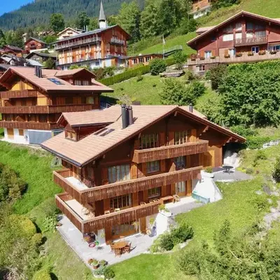 Chalet Panorama 1