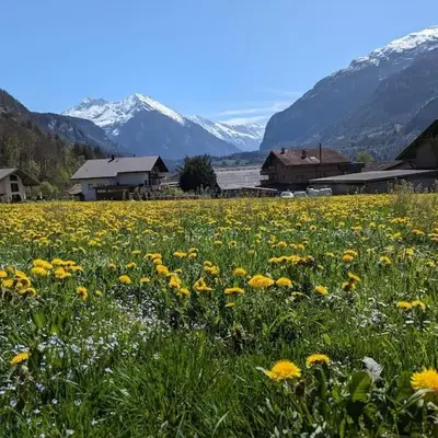 Family-friendly chalet apt with balcony