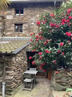 Ein Garten an der Unterkunft Come stay in our Little Nest