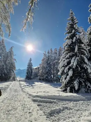 Studio Le Carnotzet Tchiko minimum 2 nights Special weekly and monthly prices im Winter