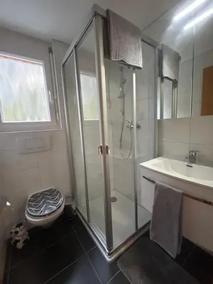 Ein Badezimmer in der Unterkunft Gemütliche Wohnung mit Bergblick