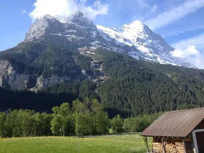 Naturlandschaft in der Nähe der Ferienwohnung