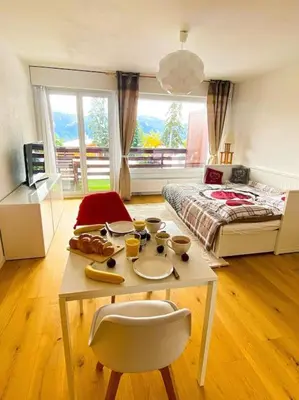 TV/Unterhaltungsangebot in der Unterkunft Studio cosy au calme avec terrasse vue sur Alpes