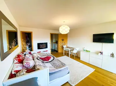 TV/Unterhaltungsangebot in der Unterkunft Studio cosy au calme avec terrasse vue sur Alpes