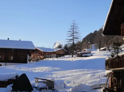 Chalet Engi Apt. 3 for up to 8 People im Winter