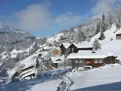 Appartement Cosy - Chalet Central im Winter