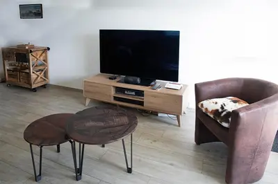 TV/Unterhaltungsangebot in der Unterkunft Appartement 3 pièces à Anzère