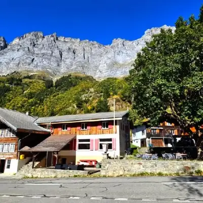 Gadmen Alpenrose