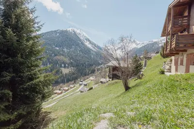 Naturlandschaft in der Nähe der Ferienwohnung