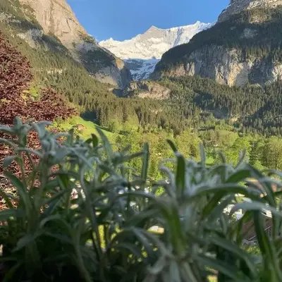 Velvet Eiger
