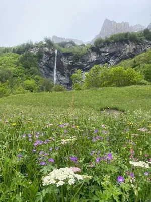 Naturlandschaft in der Nähe der Ferienwohnung