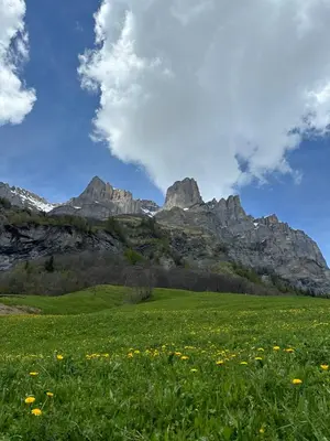 Naturlandschaft in der Nähe der Ferienwohnung
