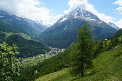 Naturlandschaft in der Nähe der Ferienwohnung