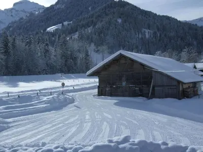 Apartment Trachsel-Huus by Interhome im Winter