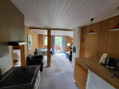 Küche/Küchenzeile in der Unterkunft Apartment Wildbach by Interhome