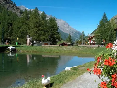 Naturlandschaft in der Nähe der Ferienwohnung