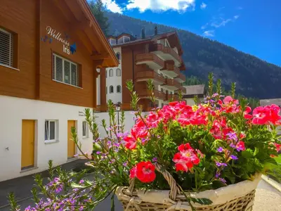 Ein allgemeiner Bergblick oder ein Berglick von der Ferienwohnung aus
