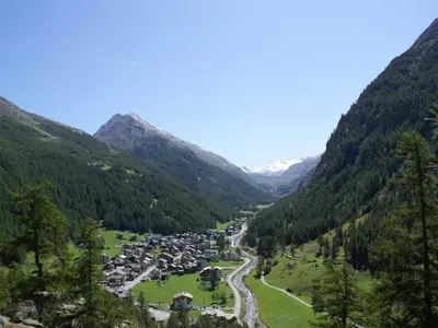 Naturlandschaft in der Nähe der Ferienwohnung