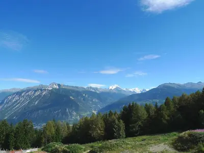 Naturlandschaft in der Nähe der Ferienwohnung