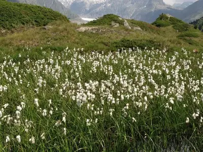 Naturlandschaft in der Nähe der Ferienwohnung