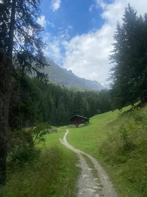 Naturlandschaft in der Nähe der Ferienwohnung