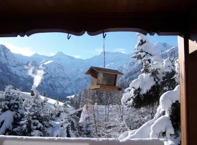 Ein allgemeiner Bergblick oder ein Berglick von der Ferienwohnung aus