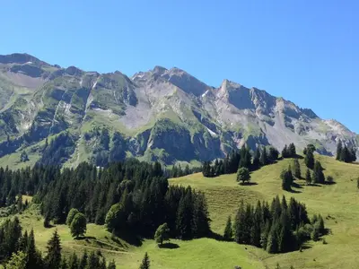 Naturlandschaft in der Nähe des Ferienhauses
