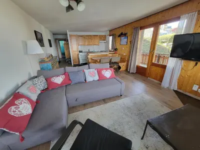 TV/Unterhaltungsangebot in der Unterkunft Vacances à la montagne