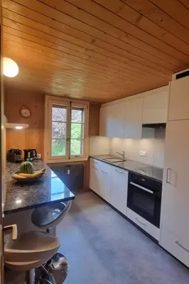 Küche/Küchenzeile in der Unterkunft Apartment Bachhüsi by Interhome