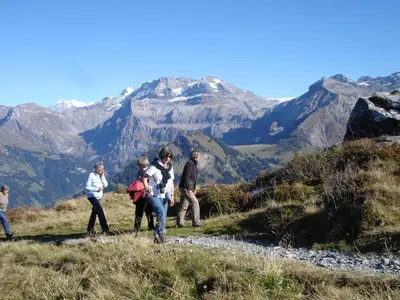 Naturlandschaft in der Nähe der Ferienwohnung