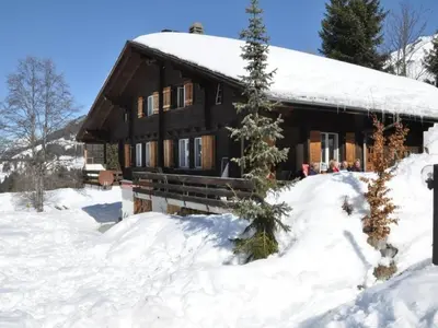 Apartment Sumpfbödeli by Interhome im Winter