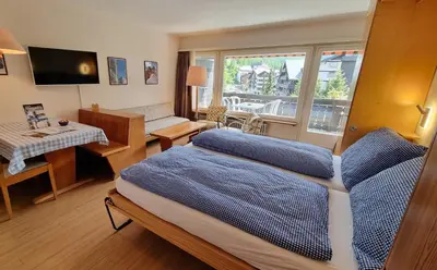 TV/Unterhaltungsangebot in der Unterkunft Haus Matten, Studio Findeln