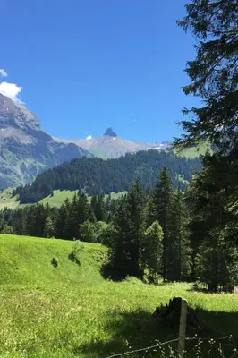 Naturlandschaft in der Nähe der Ferienwohnung