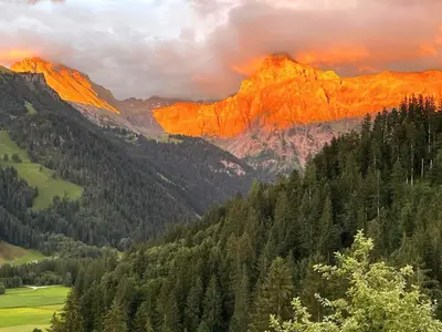 Naturlandschaft in der Nähe der Ferienwohnung