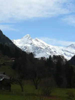 Naturlandschaft in der Nähe der Ferienwohnung