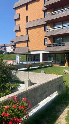 Ein Garten an der Unterkunft Thyon 2000 - Vélan 319 - 2,5 pièces - 2 chambres