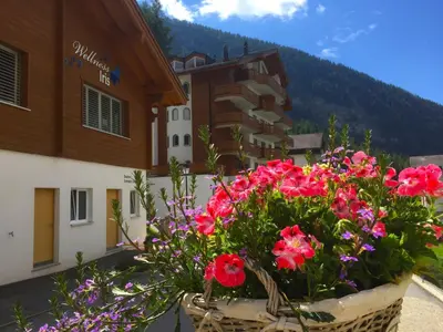 Ein allgemeiner Bergblick oder ein Berglick von der Ferienwohnung aus