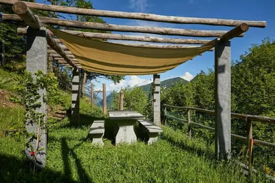 Ein Garten an der Unterkunft Wild Valley Private Paradise in Valle Onsernone