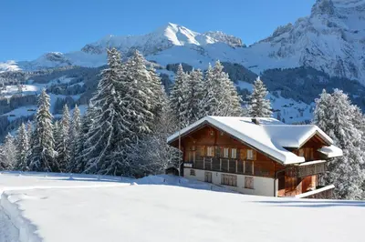 Chalet Meiseli im Winter