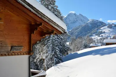 Ein allgemeiner Bergblick oder ein Berglick von der Ferienwohnung aus
