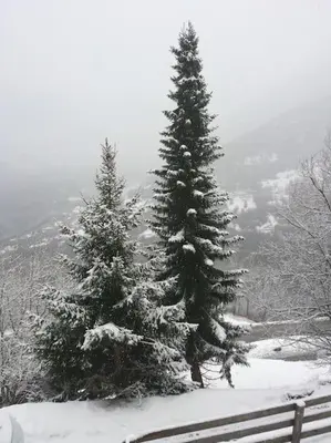 Chalet La Madelon - Idéal pour les grandes familles im Winter