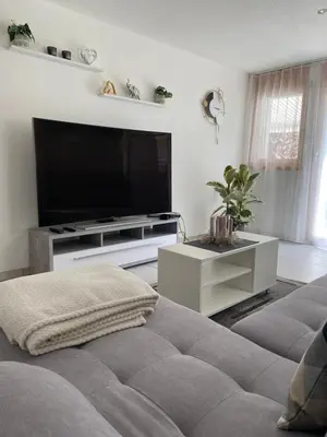 TV/Unterhaltungsangebot in der Unterkunft Zentrale Wohnung in ruhiger Lage in Baltschieder