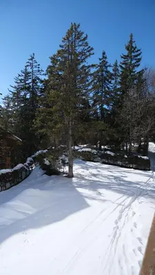 Cozy, calme, Ski-In et Ski-Out im Winter