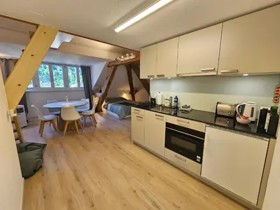 Küche/Küchenzeile in der Unterkunft Premium Apartments - central & historical