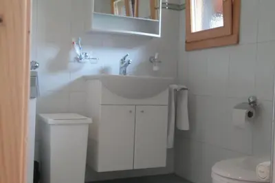 Ein Badezimmer in der Unterkunft Wunderschönes Chalet Stöckli
